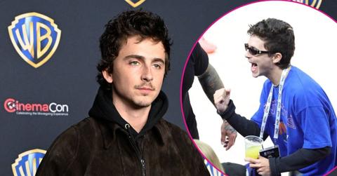 Composite photo of Timothée Chalamet.