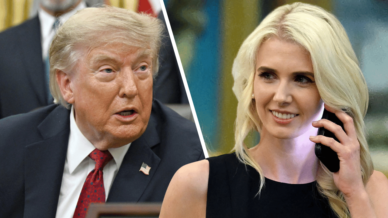 Composite photo of Donald Trump and Natalie Harp.