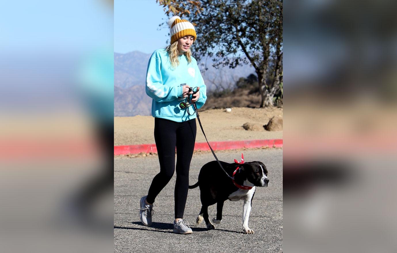 Miley cyrus dog hike 6