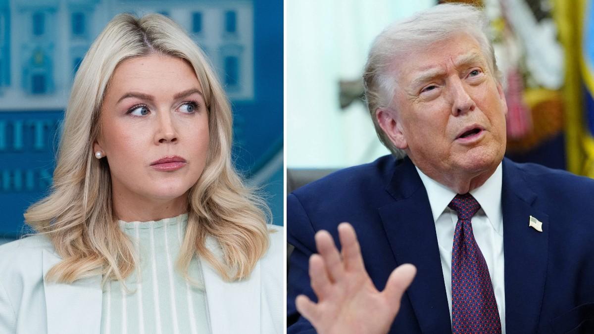 split of Karoline Leavitt and Donald Trump.