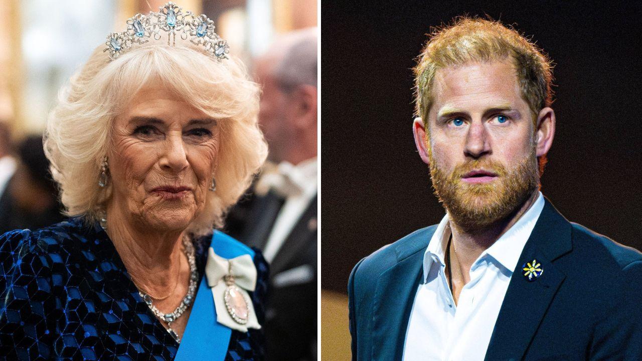 queen camilla offered prince harry olive branch meetup