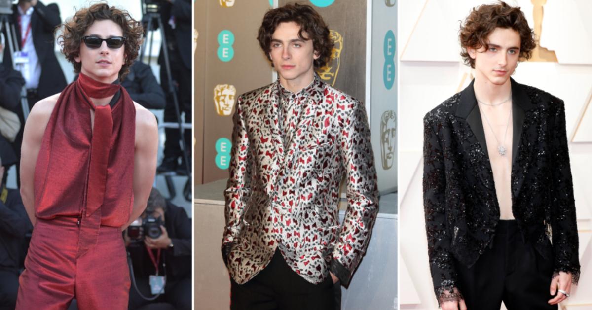 Timothée Chalamet Shakes up the Red Carpet with a High-Fashion