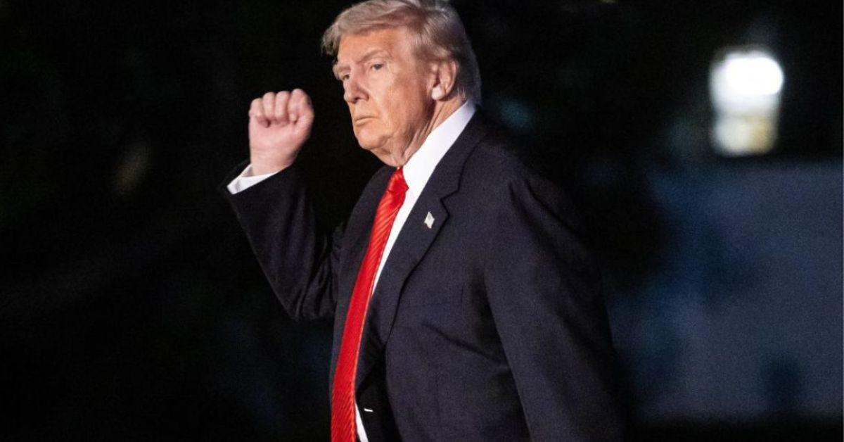 Image of Donald Trump says you have to show ID at the grocery store.