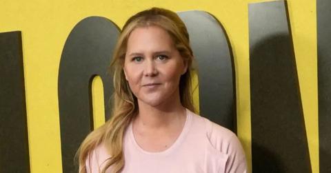 image of Amy Schumer