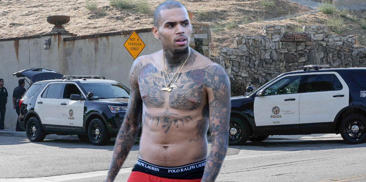 chris brown allegedly points gun at women