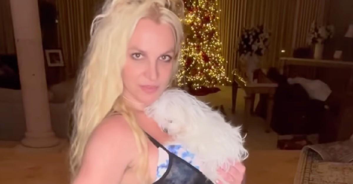 Britney Spears poses in nothing but a bra and underwear after celebrating  42nd birthday