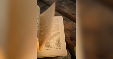 the literary spotlight shines on iiba a global celebration of influence and purpose