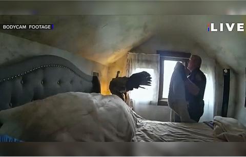police respond intruder call find turkey