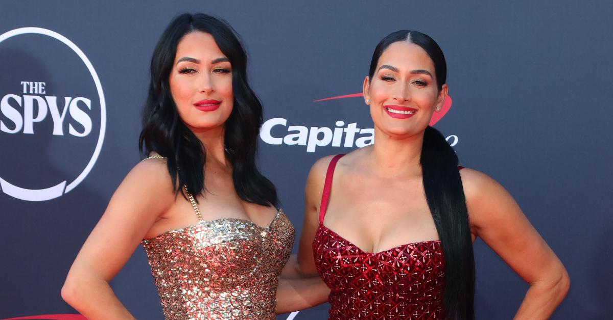 nikki bella garcia villain artem chigvintsev divorce woman