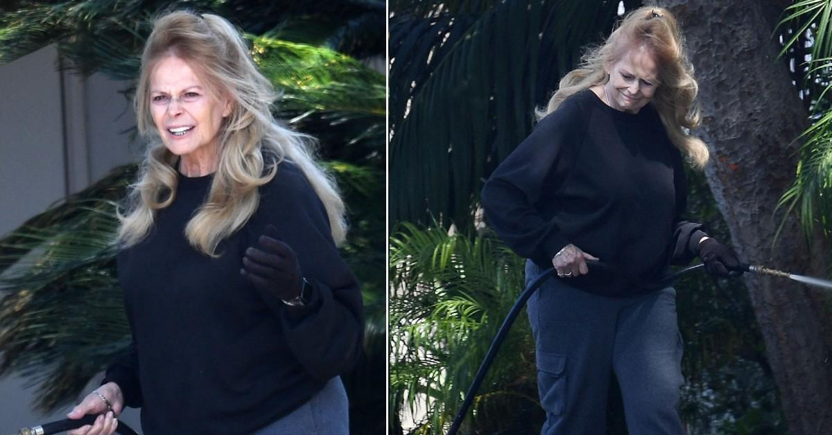 Joey Heatherton Looks Unrecognizable As She's Spotted In L.A.
