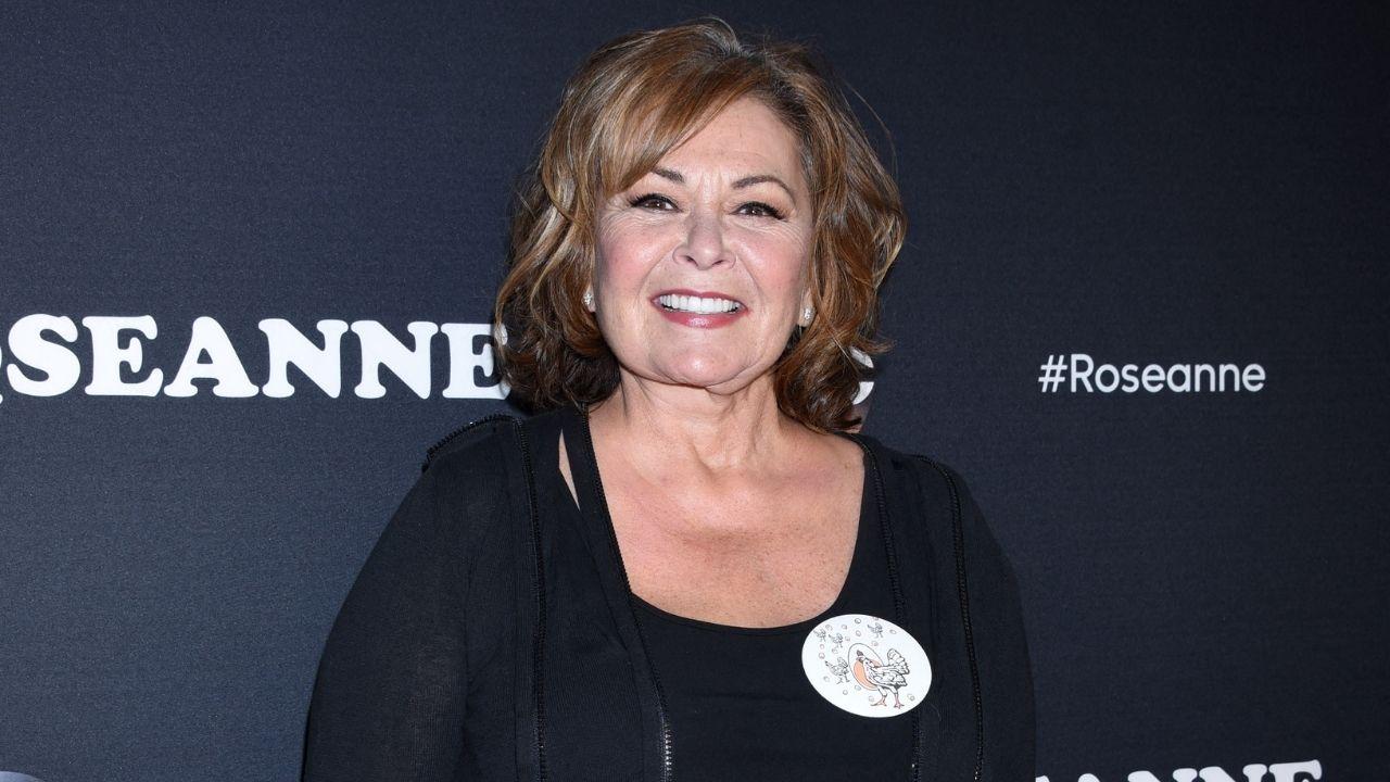 Image of Roseanne Barr claimed that John Goodman turned down an offer to star in her self-financed single-camera sitcom 'Meemaw: A Modern Day Fable.'