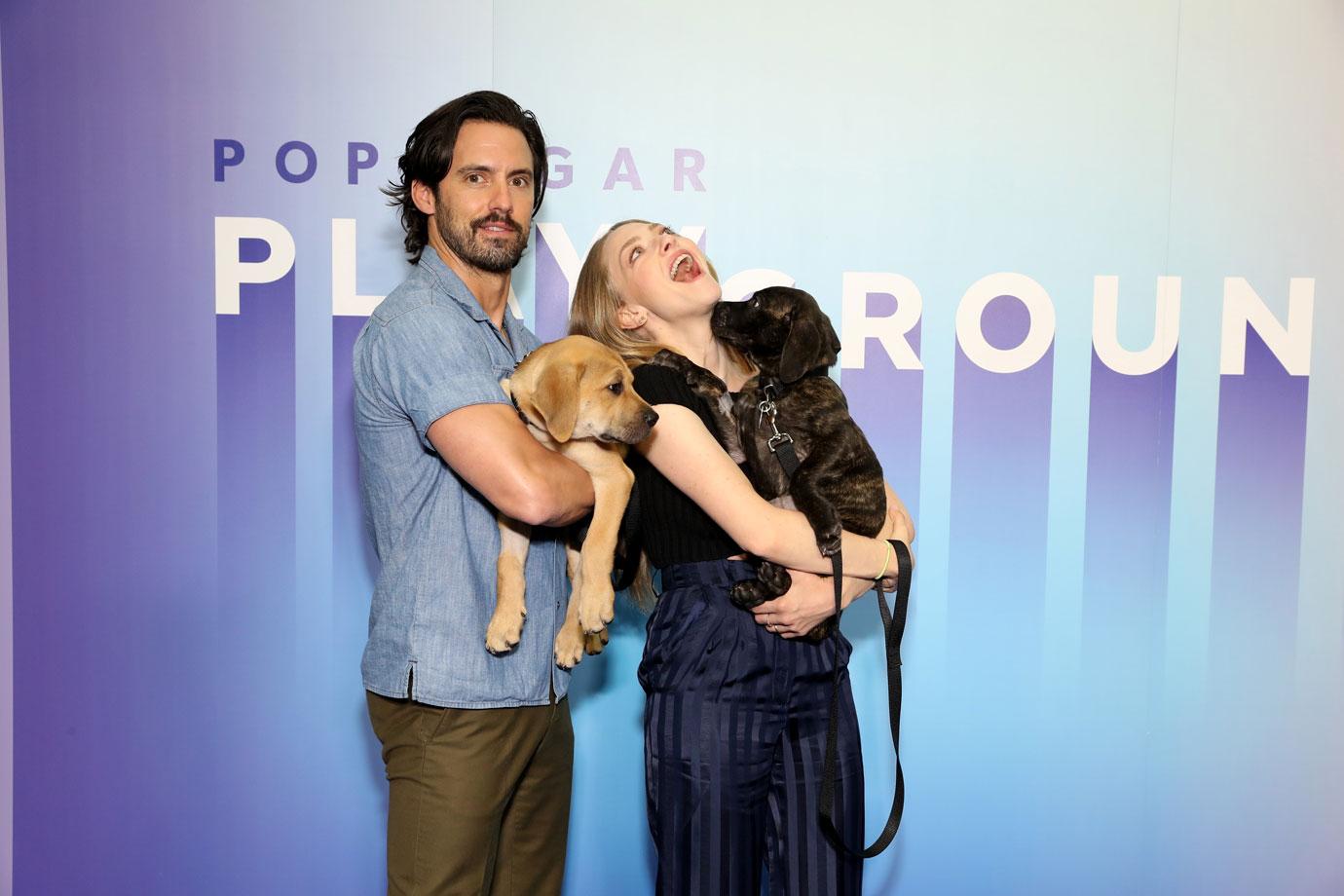 milo ventimiglia and amanda seyfried holding dogs