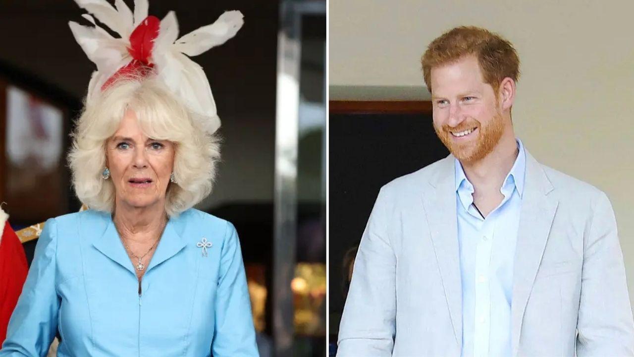 image of harry/camilla