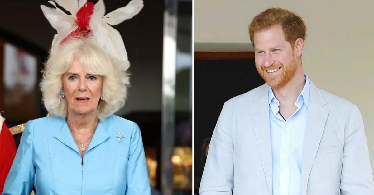Queen Camilla Puts Past Differences With Prince Harry Aside as Cancer-Stricken King Charles 'Works on His Relationship' With Son, Expert Says