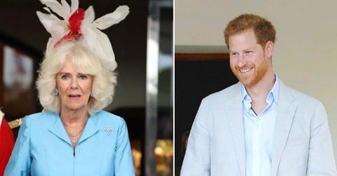 image of harry/camilla