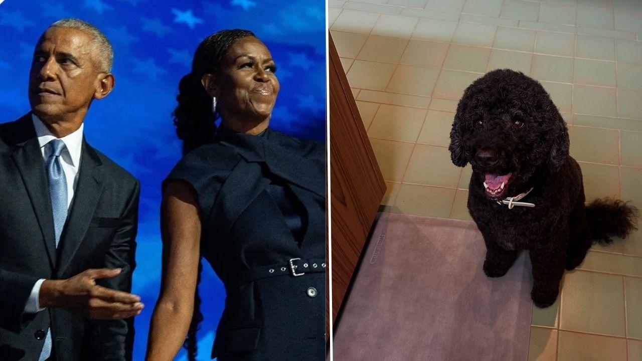 image of Barack and Michelle Obama dog