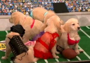 VIDEO: Conan O'Brien Launches the Lingerie Puppy Bowl!