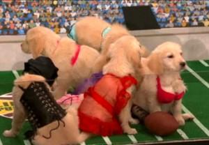2011__02__Conan_O_Brien_Lingerie_Puppy_Bowl_Feb4newsnea 300×208.jpg