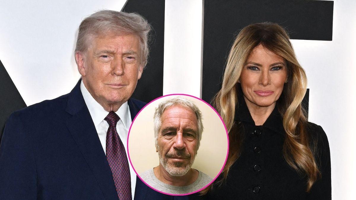 did jeffrey epstein really introduce donald melania trump