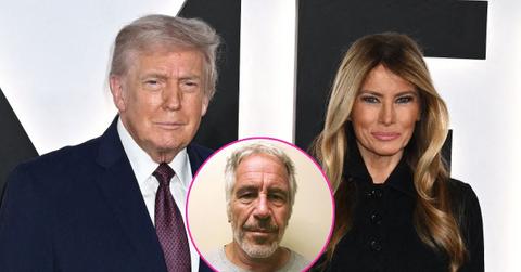 did jeffrey epstein really introduce donald melania trump