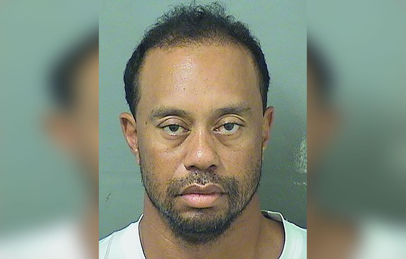 Tiger woods dui