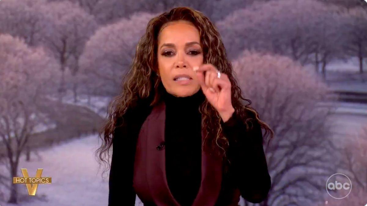 Photo of Sunny Hostin felt Elisabeth Hasselbeck was being 'dismissive' over ICE-related deaths.