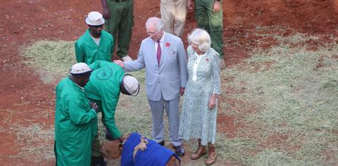 king charles works all day long until am