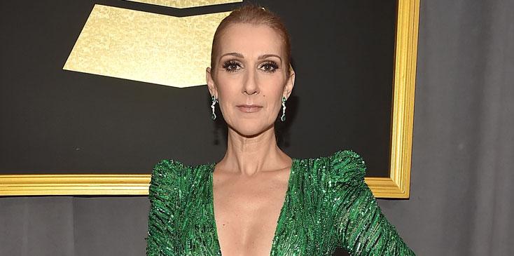 Celine Dion The Voice Green Dress Long