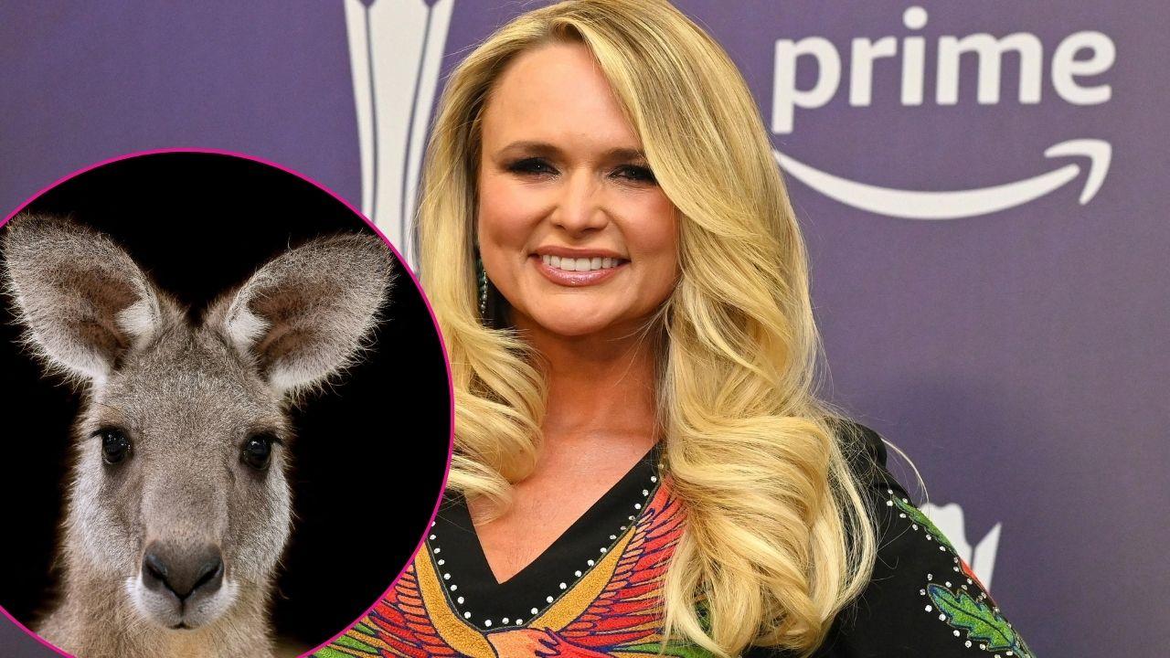 split of Miranda Lambert, kangaroo.