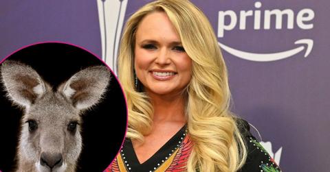 split of Miranda Lambert, kangaroo.