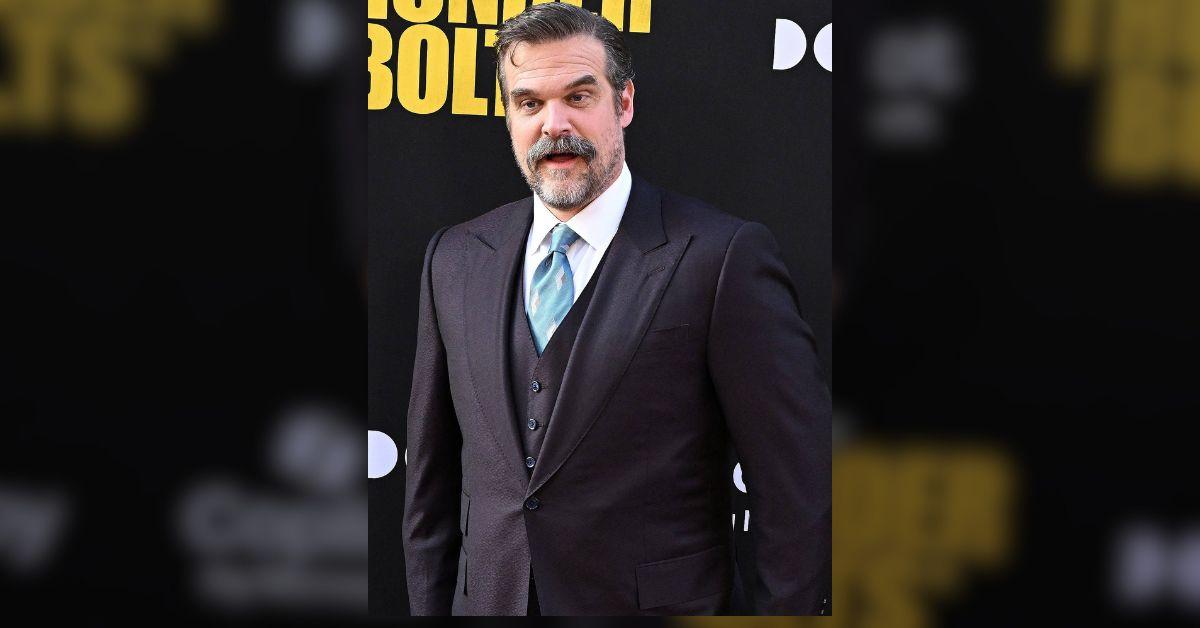 image of The singer wrote an album that calls out David Harbour for his alleged infidelity.