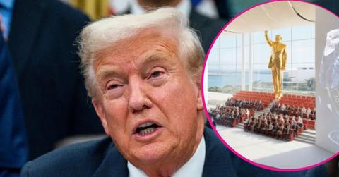 image and inset of Donald Trump