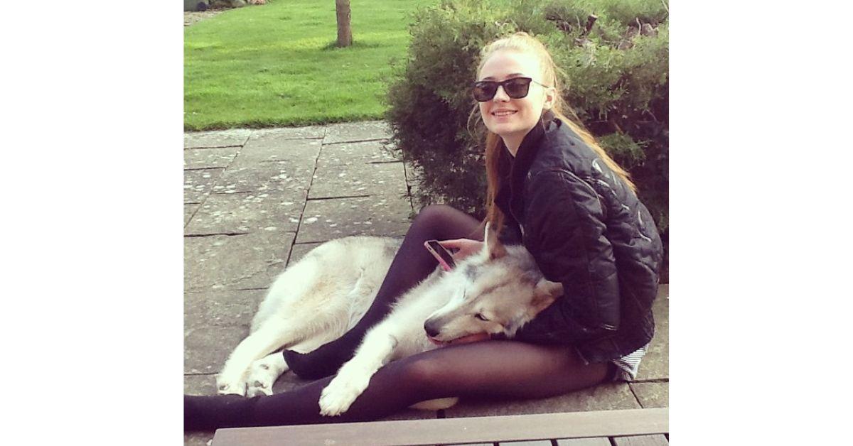 sophie turner dire wolf game of thrones