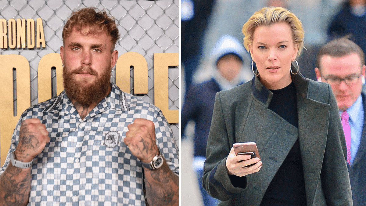 Jake Paul; Megyn Kelly