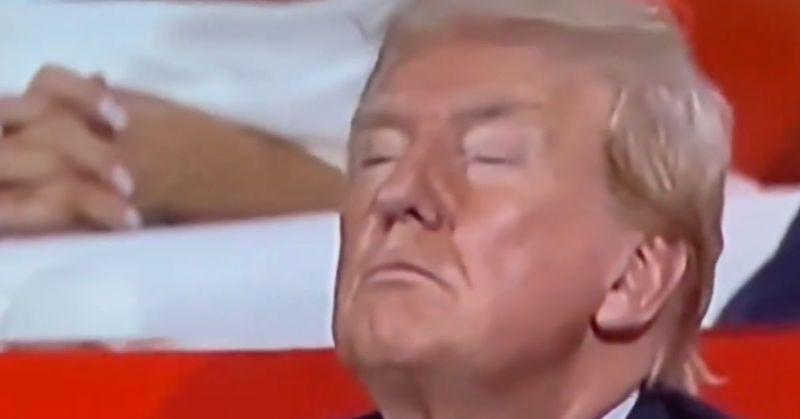 donald trump falls asleep rnc convention