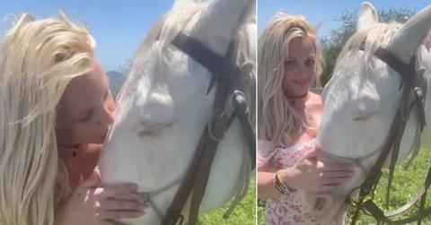 britney spears horses instagram parents conservatorship cruel sad