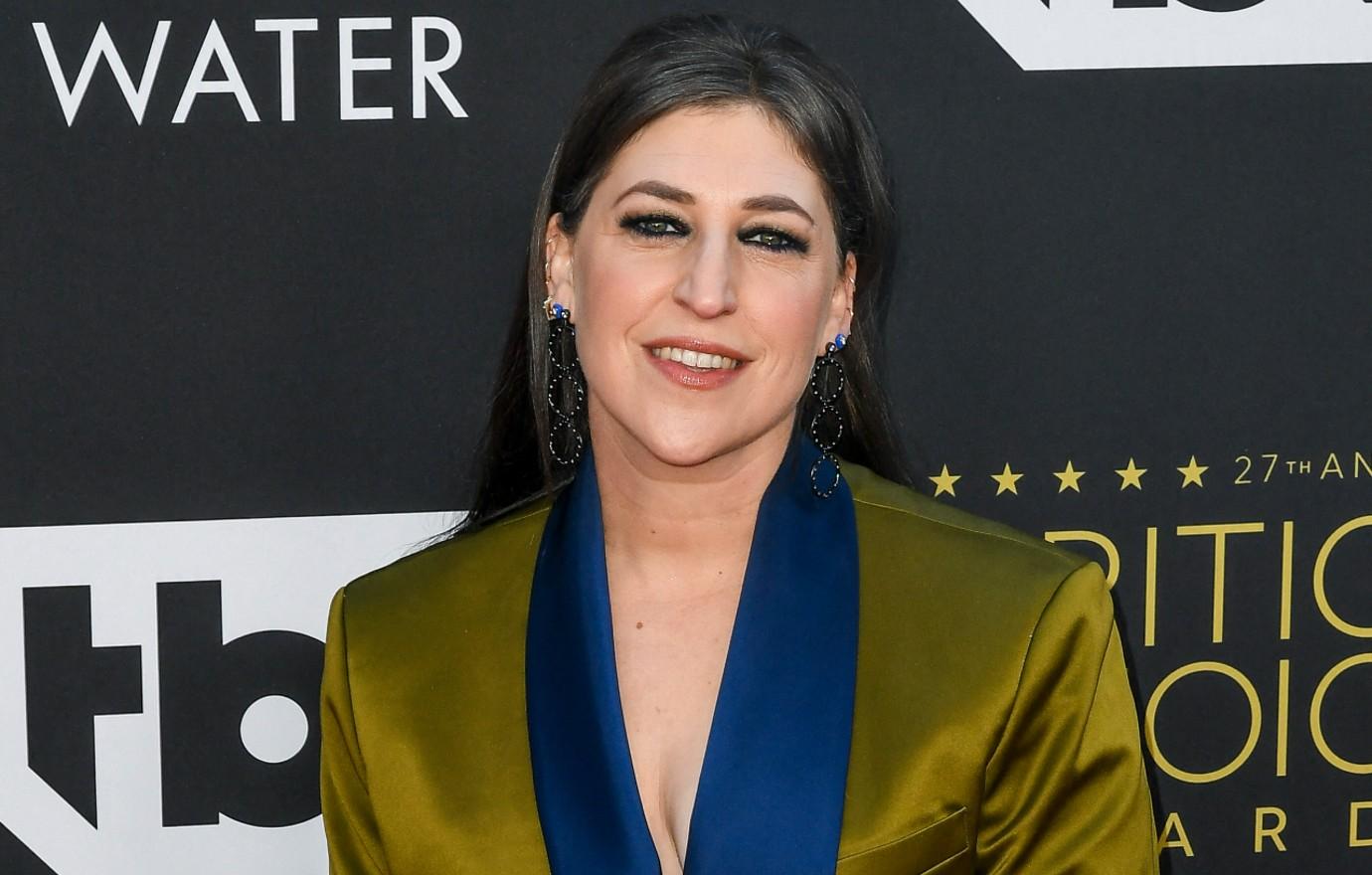 Big Bang's' Mayim Bialik's divorce from Michael Stone finalized - Los  Angeles Times