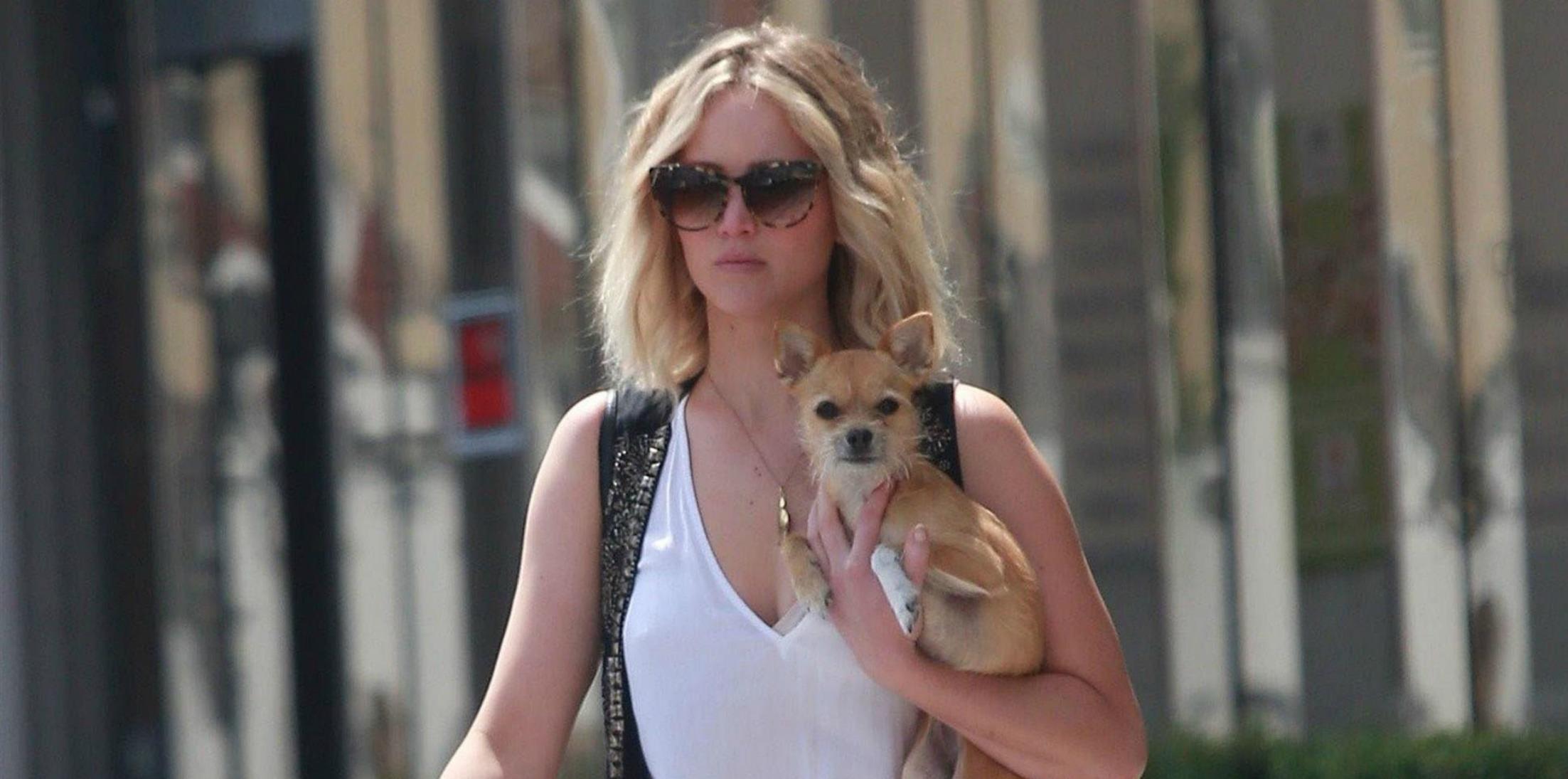 Jennifer Lawrence Dog Pippi Stocking Photos Long