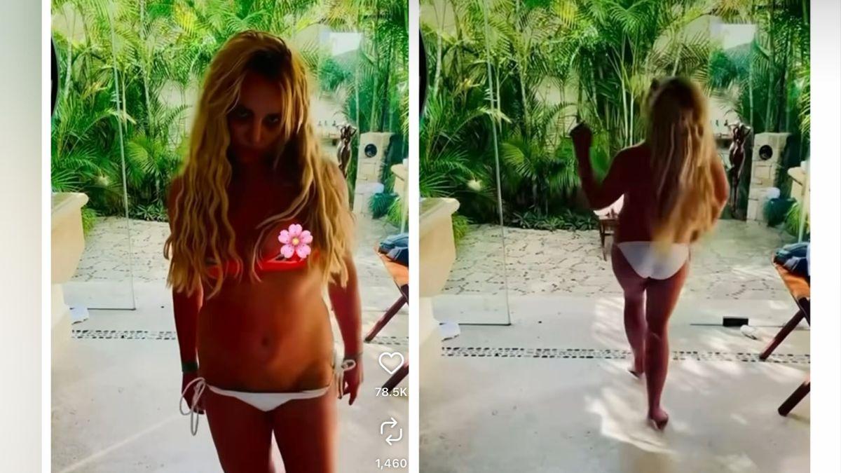 Photo of Britney Spears covered her wardrobe malfunction with a flower emoji.