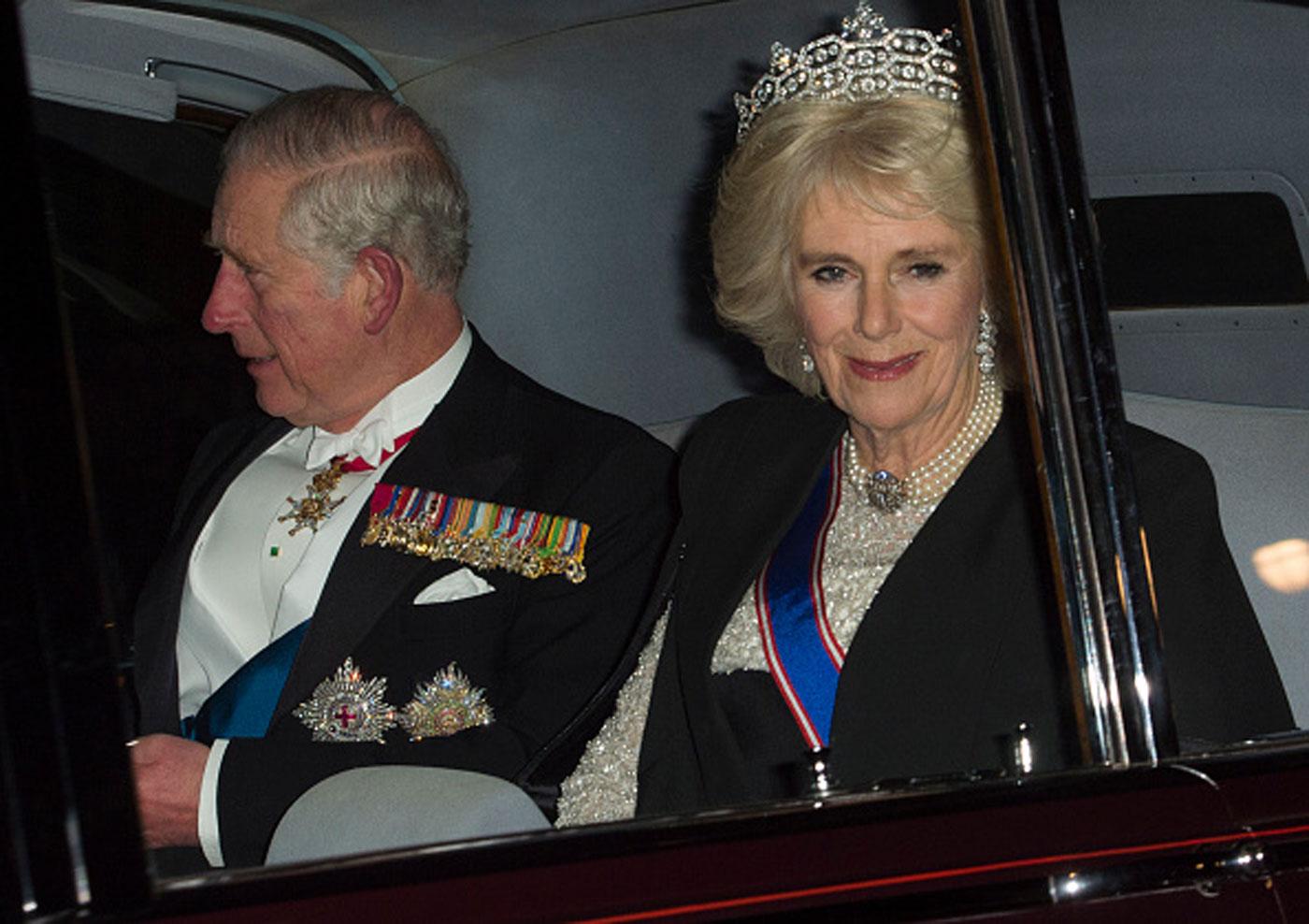 Diplomatic Reception at Buckingham Palace