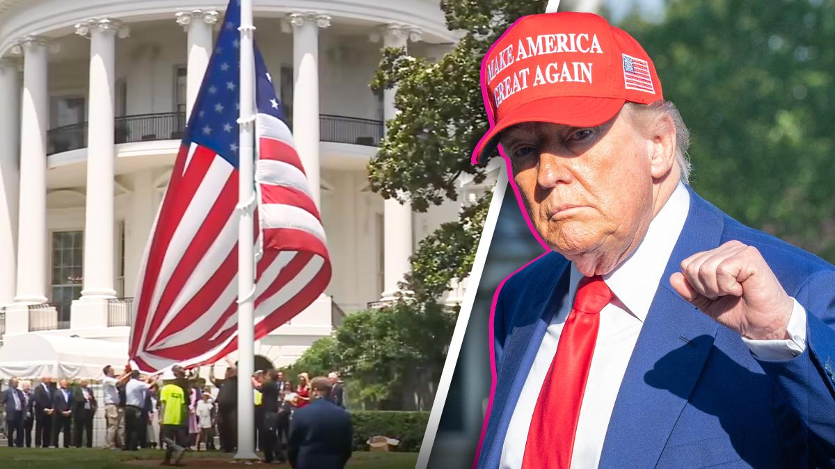 Composite photo of Donald Trump.