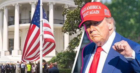 Composite photo of Donald Trump.