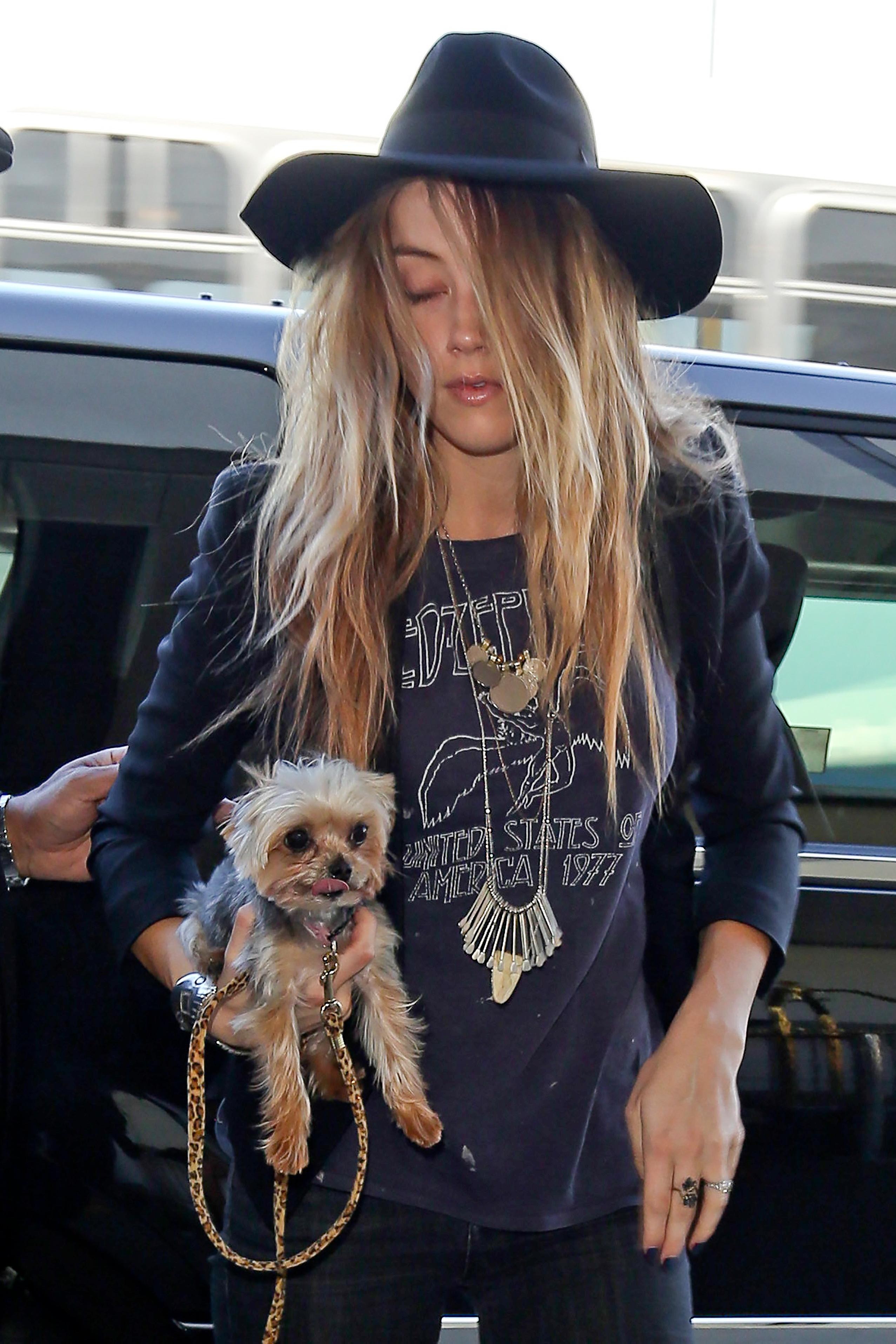 Amber Heard jets out of LAX to see boyfriend Johnny Depp