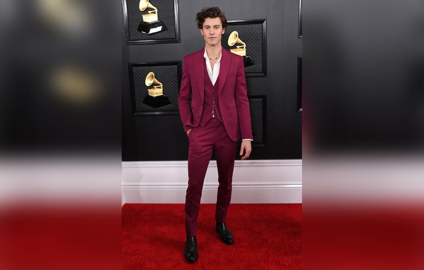 Grammy Awards 2020 Celebrity Red Carpet Arrival Photos Looks