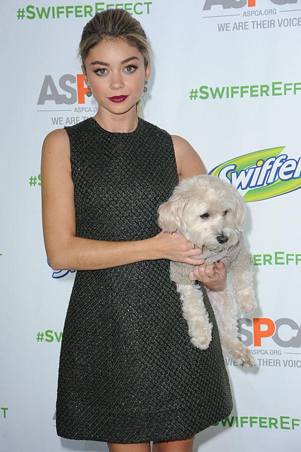 Sarah hyland dog