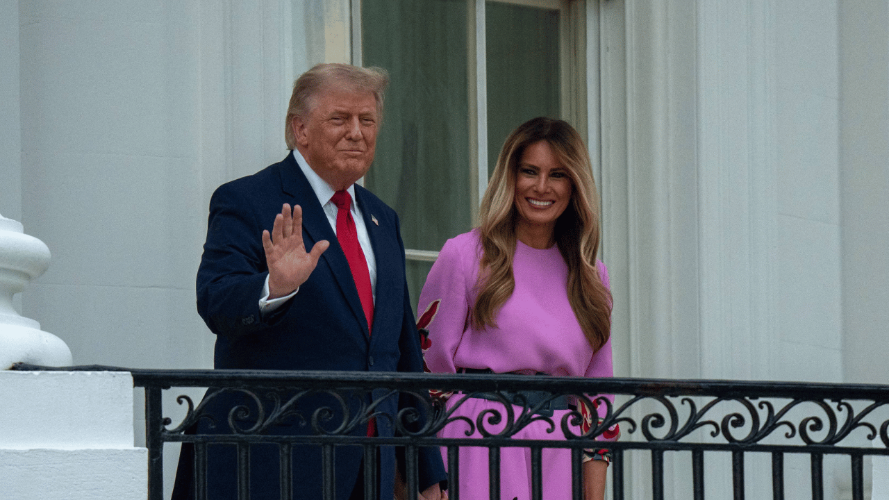 photo of Melania Trump was described as 'a wild card.'