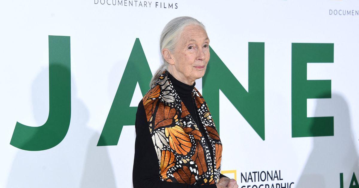 jane goodall life in photos animal welfare activist dead at