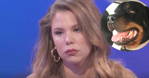 kailyn-lowry-dog-bear-died-twitter-photos-teen-mom-2