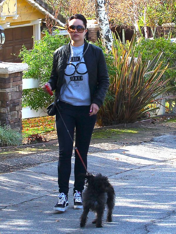 Amanda Bynes Walking The Dogs With Her Parents