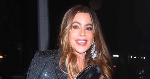 sofiavergaragoingtobeok